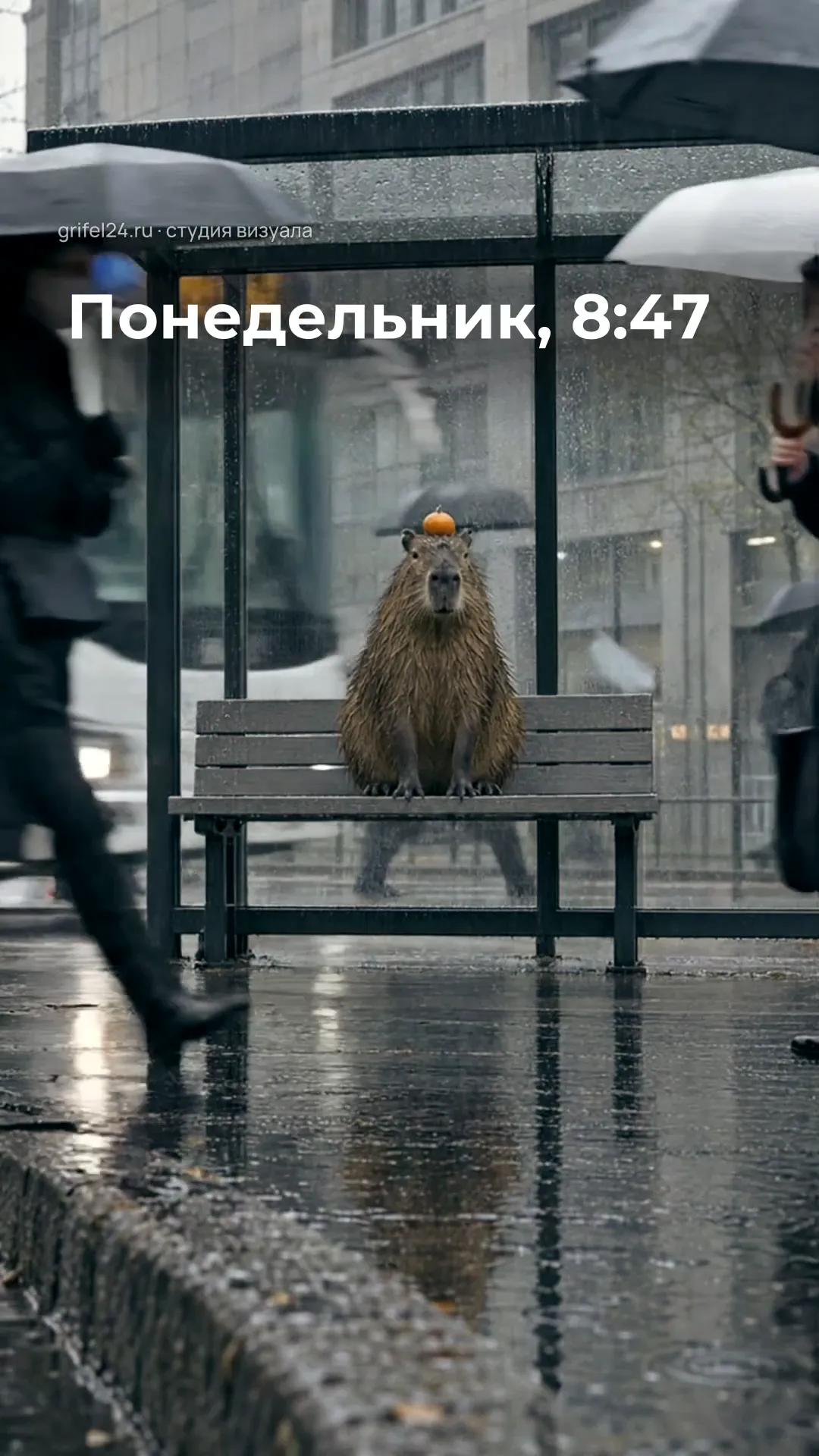 Первый кадр ролика: Рилс: капибара на остановке